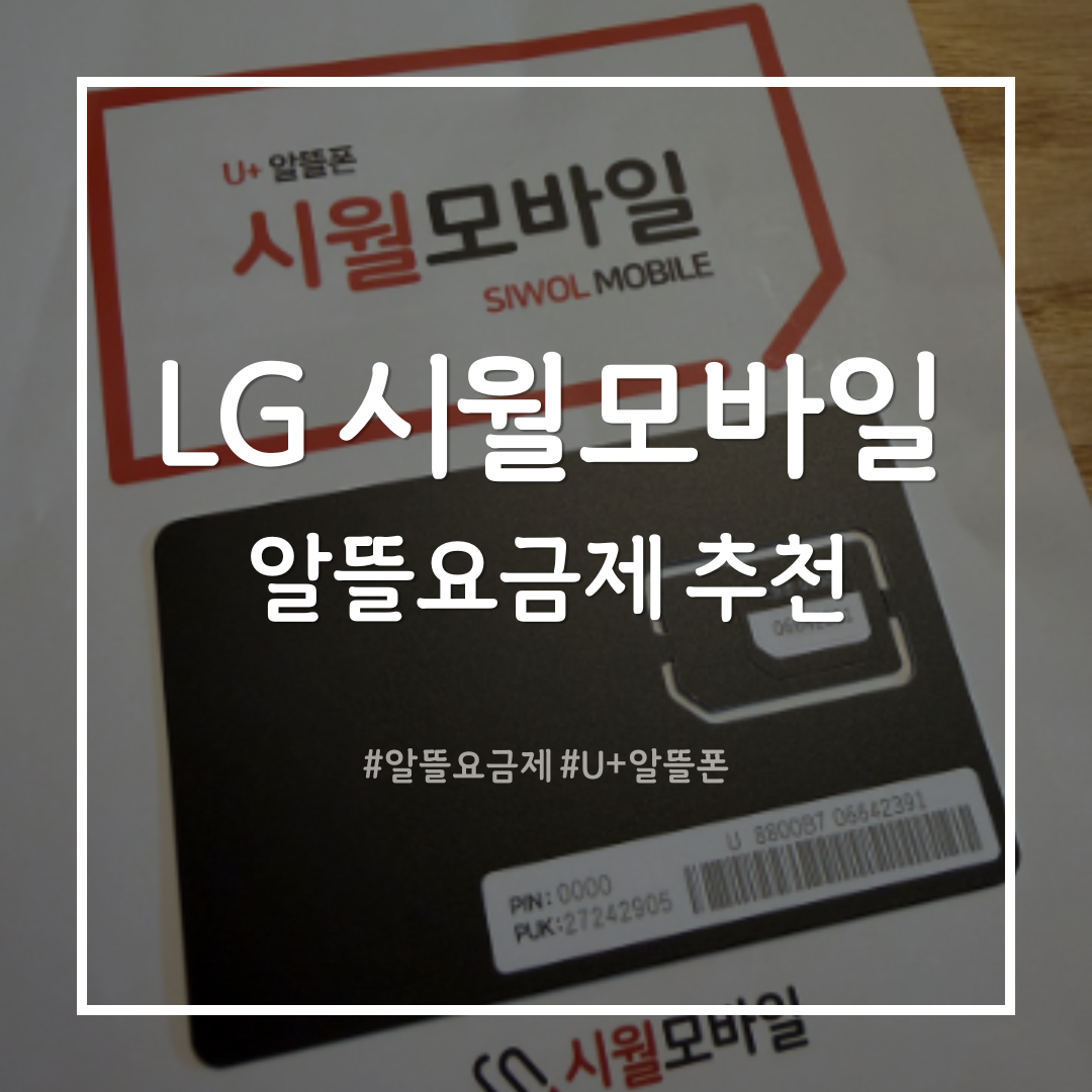 통신비 기존 대비 60만원 절약, 시월모바일 알뜰요금제 추천 